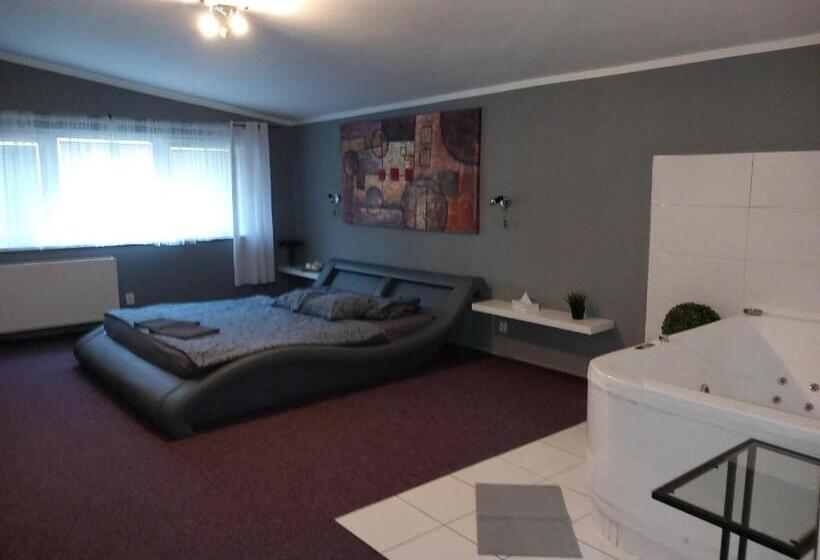 Номер Deluxe, Penzion Vulture Ostrava