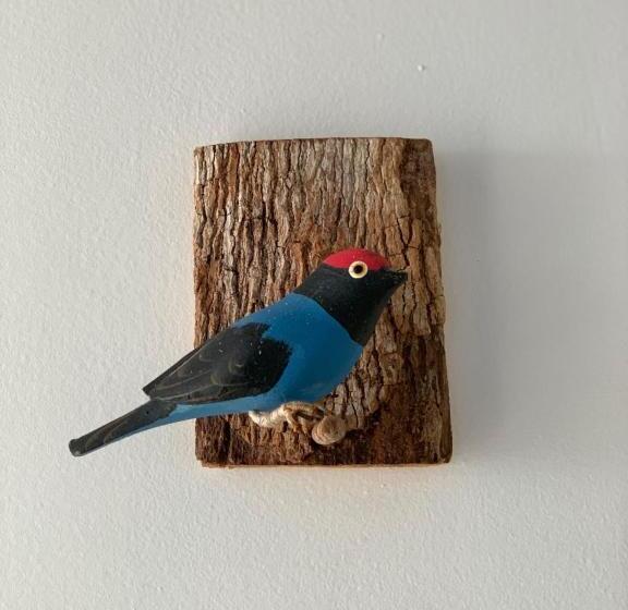 套房, Pousada Anambé