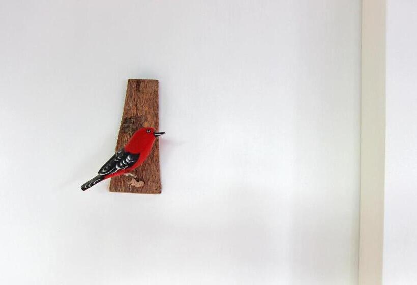 经典四人房间, Pousada Anambé