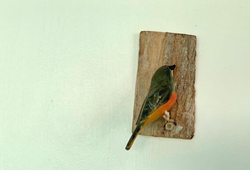 经典四人房间, Pousada Anambé