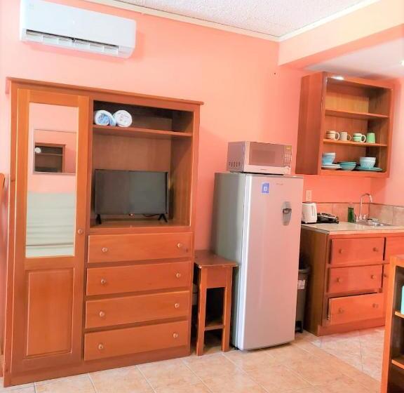 带露台的标准工作室, Beach Side Condos Caye Caulker By Ccvh