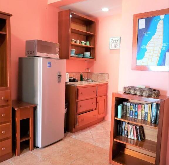 带露台的标准工作室, Beach Side Condos Caye Caulker By Ccvh