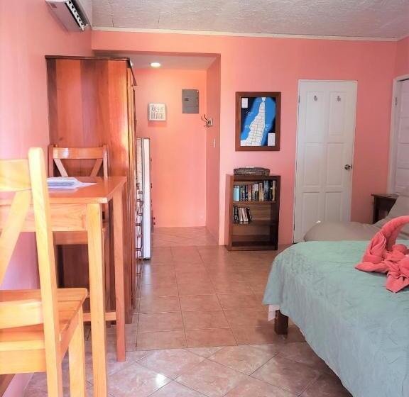 带露台的标准工作室, Beach Side Condos Caye Caulker By Ccvh