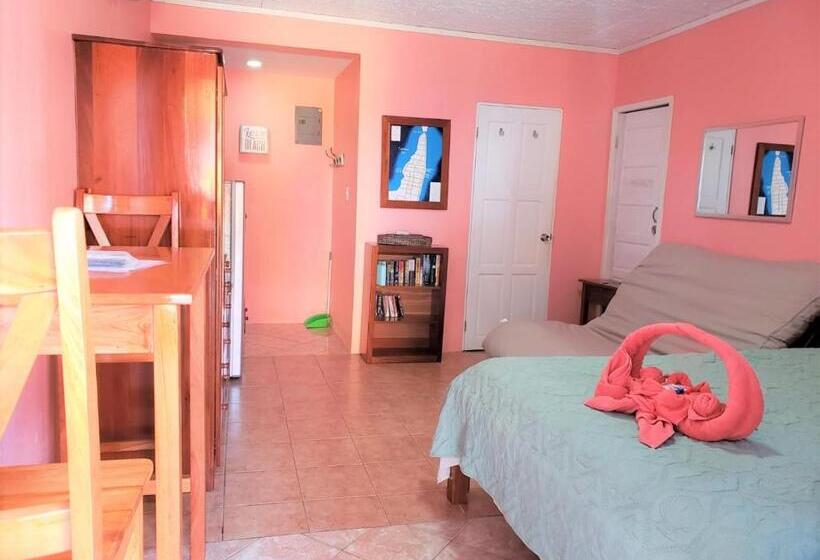 带露台的标准工作室, Beach Side Condos Caye Caulker By Ccvh