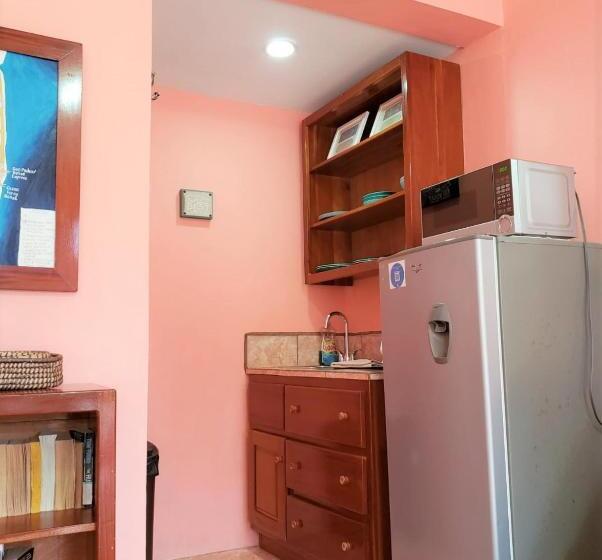 标准工作室带泳池景, Beach Side Condos Caye Caulker By Ccvh