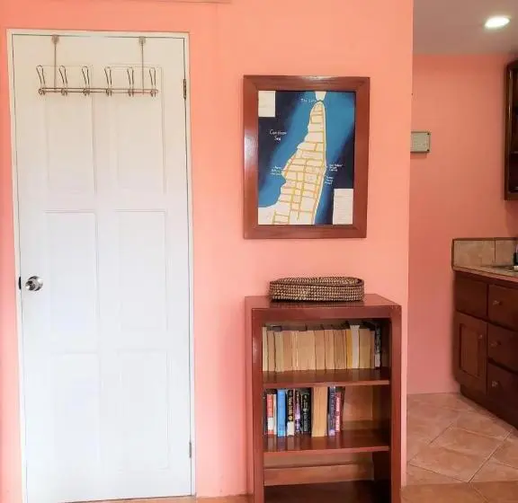 استودیو استاندارد با چشم‌انداز استخر, Beach Side Condos Caye Caulker By Ccvh