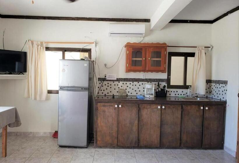 带海景的标准工作室, Beach Side Condos Caye Caulker By Ccvh