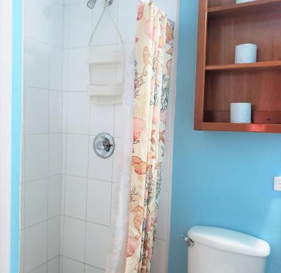 带露台的标准工作室, Beach Side Condos Caye Caulker By Ccvh