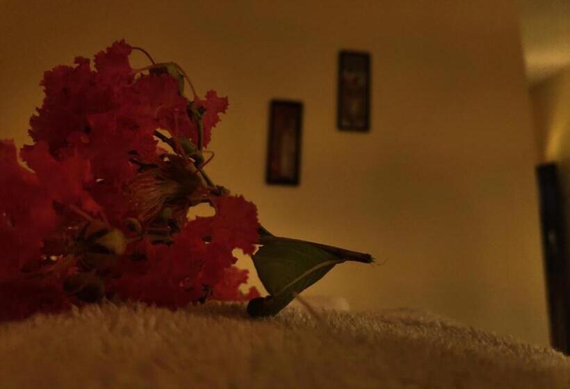 Номер Economy, Nature Care Village Rajaji National Park