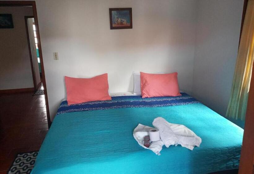 标准间带阳台, Hostal El Pino