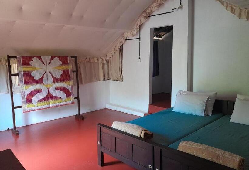 Бунгало Стандарт, Tranquilandia