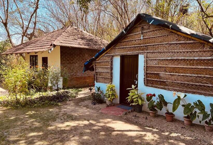 Бунгало Стандарт, Tranquilandia