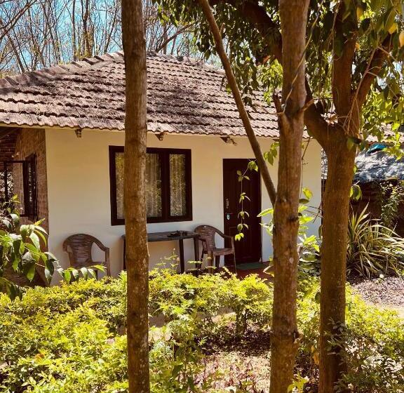 Бунгало Стандарт Вид на Сад, Tranquilandia