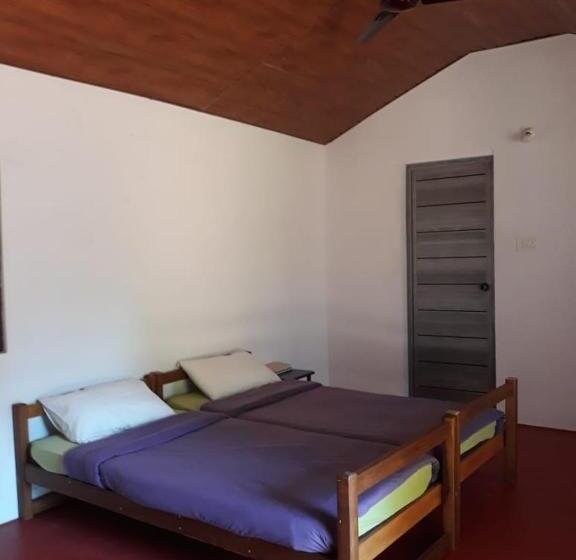 Номер Стандарт, Tranquilandia