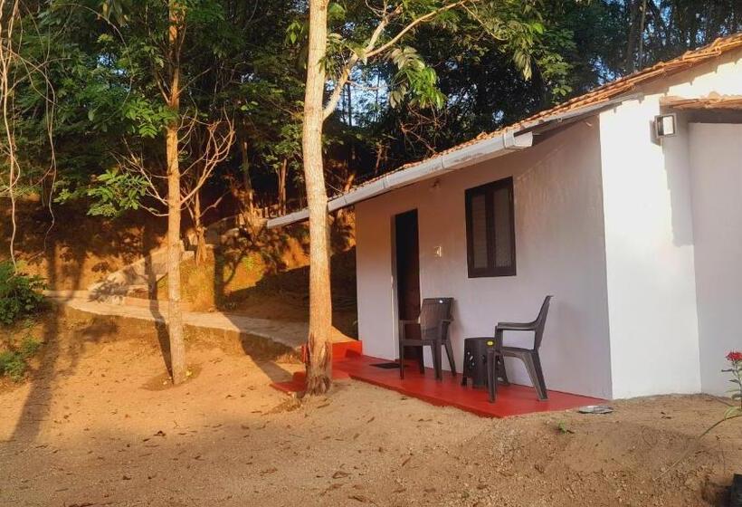 Номер Стандарт, Tranquilandia