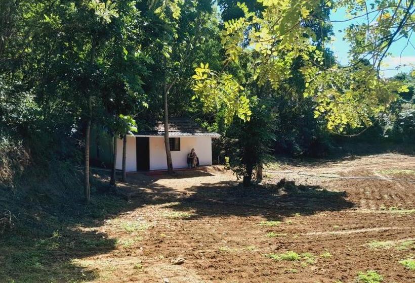 Номер Стандарт, Tranquilandia