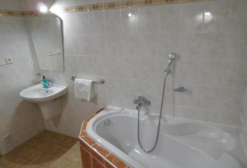 דירת שני חדרים, Pension Najdek