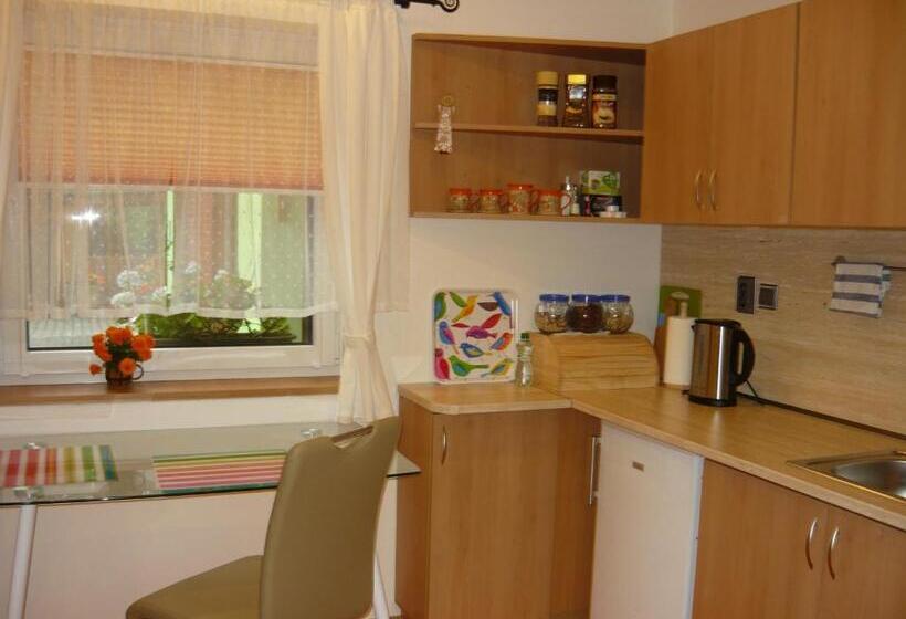 شقة غرفة واحدة مطلة على الحديقة, Apartments   Penzion Lena