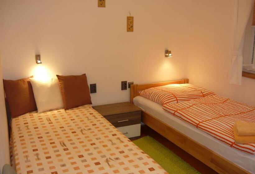 침실 1개 가든 전망 아파트, Apartments   Penzion Lena