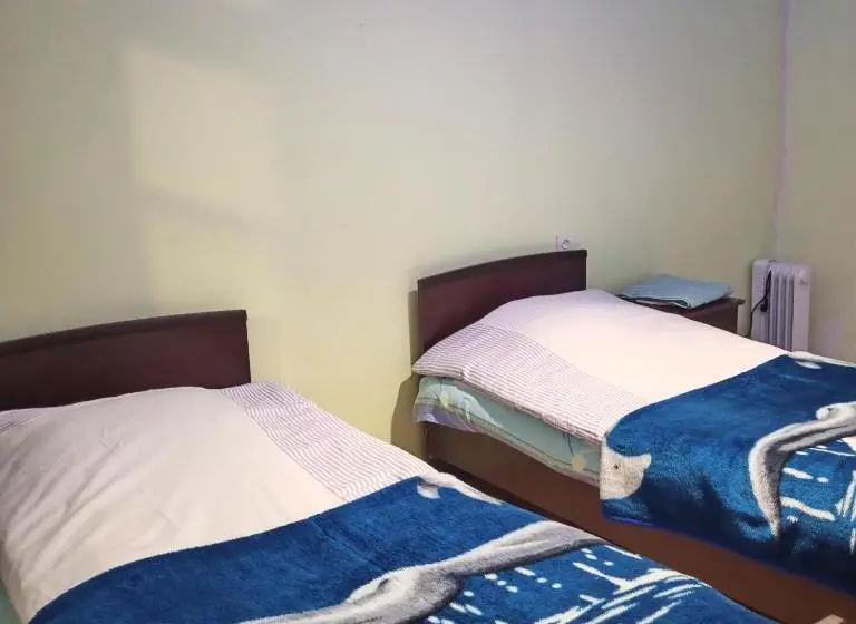 اتاق اکونومی, Guest House Ketevan Niguriani