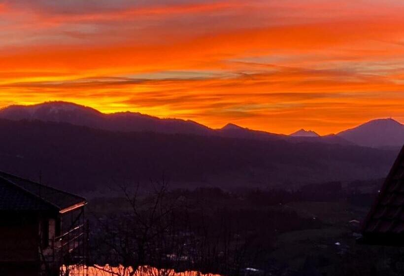 اتاق استاندارد یک نفره, Bio Gesundheitshof Daxinger