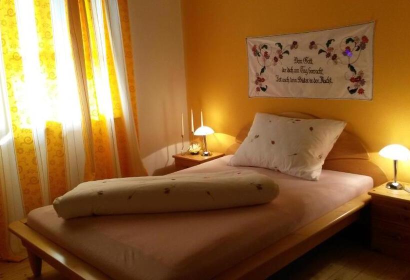 اتاق استاندارد یک نفره, Bio Gesundheitshof Daxinger