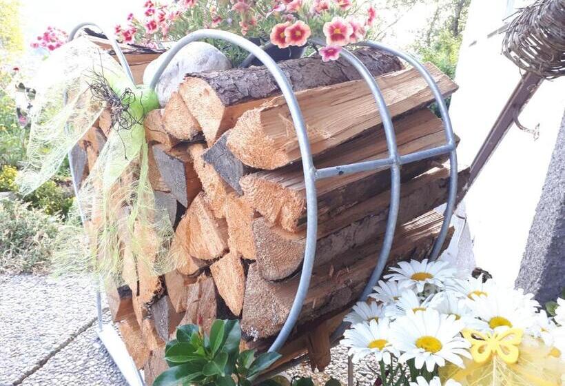 اتاق استاندارد با چشم‌انداز دریاچه, Bio Gesundheitshof Daxinger