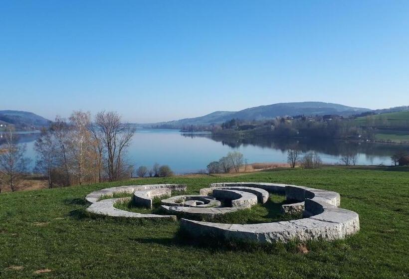 اتاق استاندارد با چشم‌انداز دریاچه, Bio Gesundheitshof Daxinger