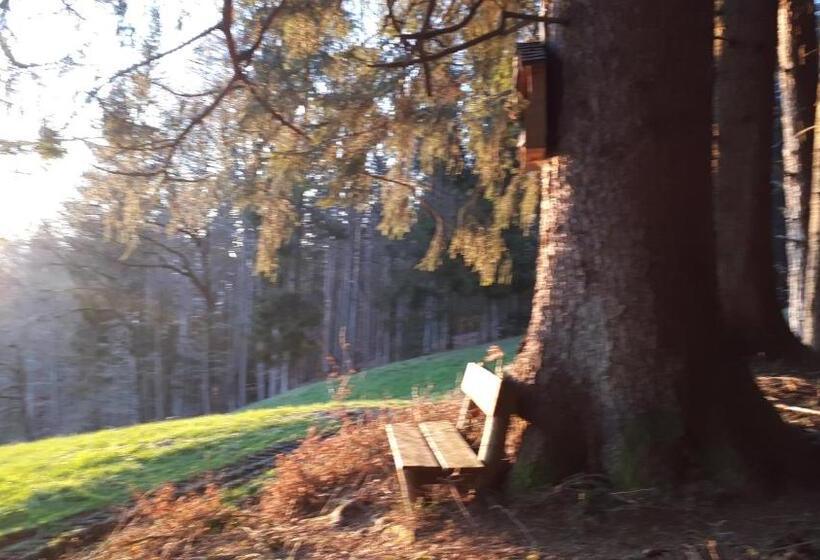 اتاق استاندارد با چشم‌انداز دریاچه, Bio Gesundheitshof Daxinger