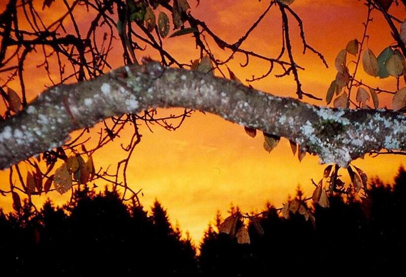 اتاق استاندارد با چشم‌انداز دریاچه, Bio Gesundheitshof Daxinger