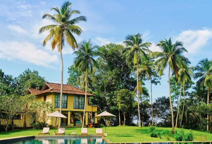 חדר סופריור, Samadara Estate, Midigama