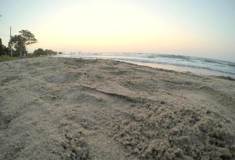 חדר סטודיו סטנדרד, Camino Palmero Coveñas