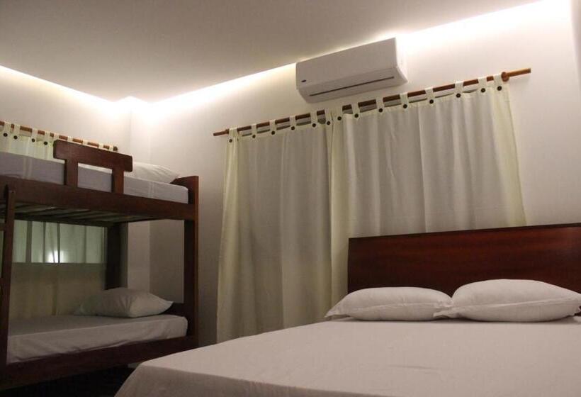 استودیوی استاندارد, Camino Palmero Coveñas