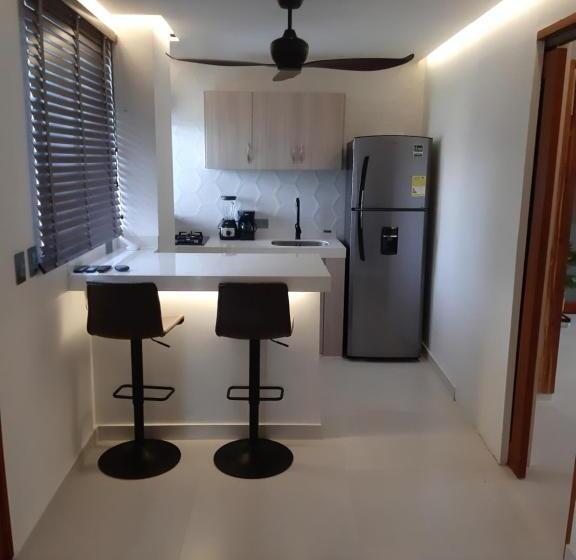 سوئیت پرزیدنت, Camino Palmero Coveñas