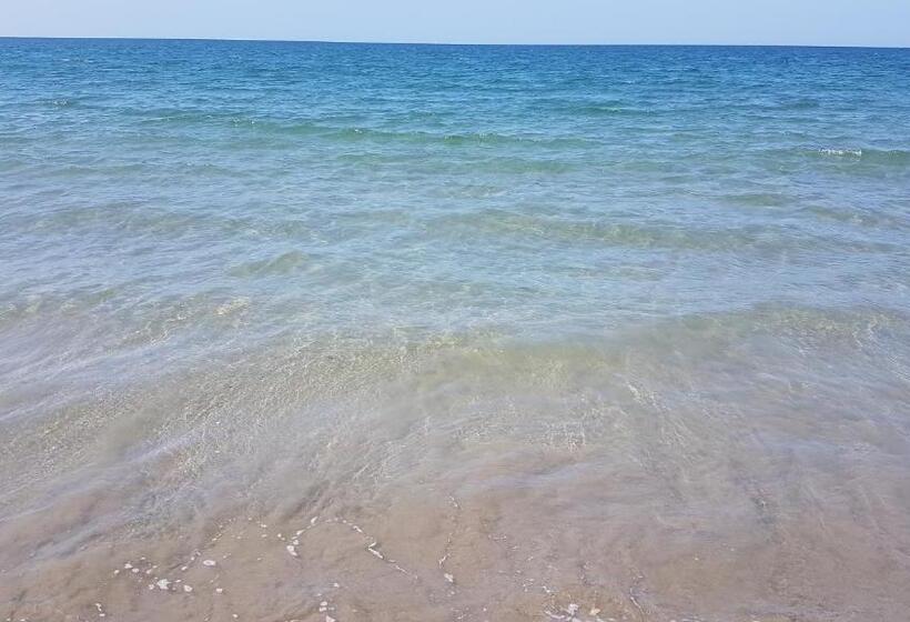 חדר סטודיו סטנדרד, Camino Palmero Coveñas