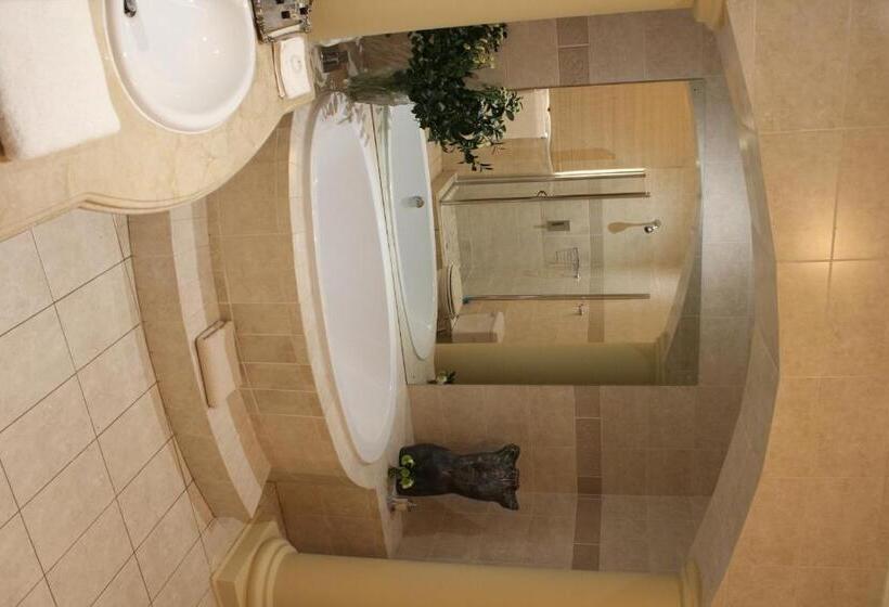 جناح ديلوكس سرير كينج, The Blue Crane Villa