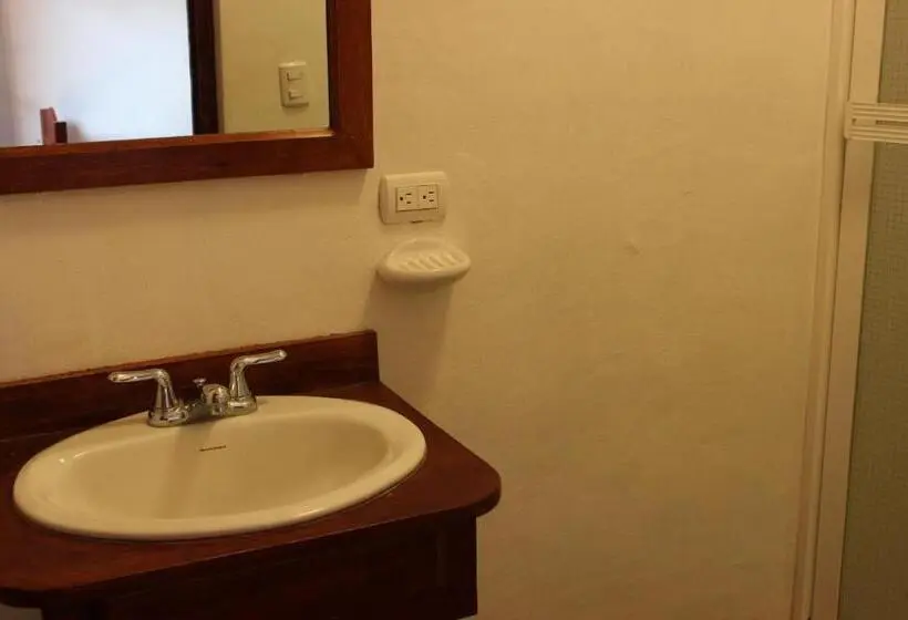 تختخواب در اتاق مشترک, Backpackers Inn