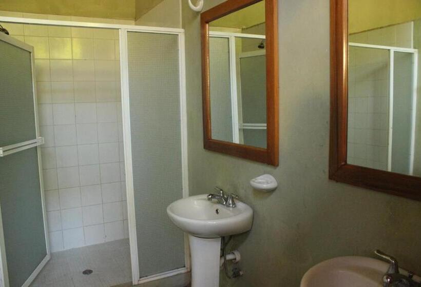 اتاق خانوادگی, Backpackers Inn