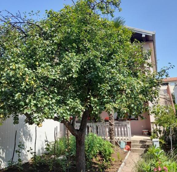 آپارتمان 1 خوابه همکف, Apartman Avdić