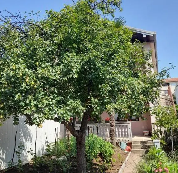 آپارتمان 1 خوابه همکف, Apartman Avdić