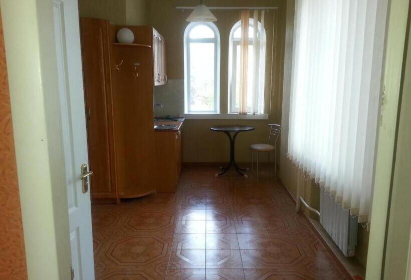 استودیوی استاندارد, Apartment In Zentrum Skandi