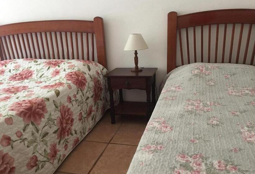 수피리어 룸, Pousada Primavera