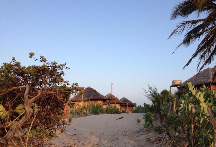 豪华洋房, Caju Bangalôs