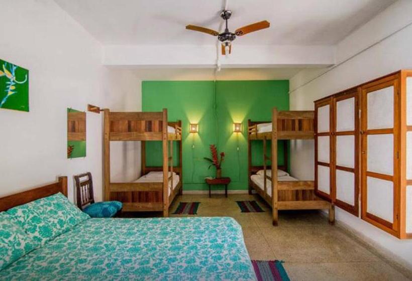 חדר משפחתי, Casa Bacarirá   Floresta Com Yoga E Café Da Manhã Vegano