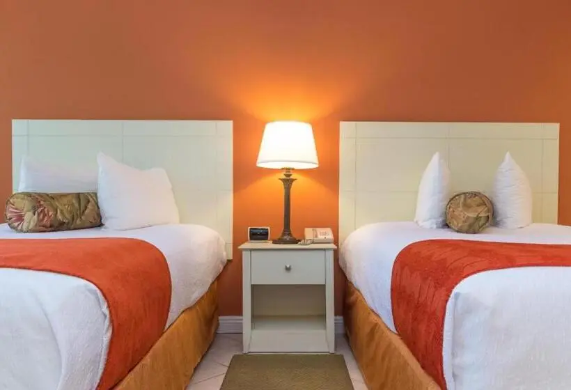 ２ダブルベッドのスタンダードルーム, Inn At The Beach Venice Florida