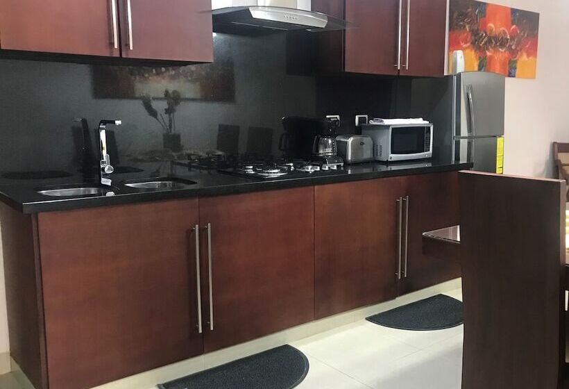 جناح سوبيريور, Terra Sur Cuenca