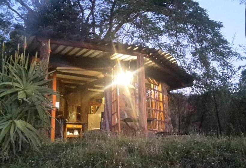 בקתת חדר, Bushwhacked Barberton