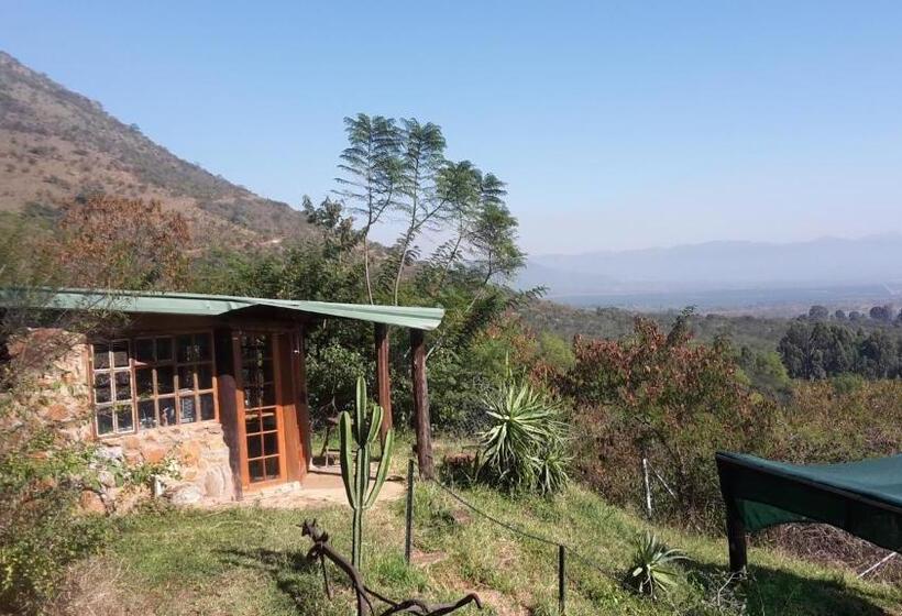 בקתת חדר, Bushwhacked Barberton