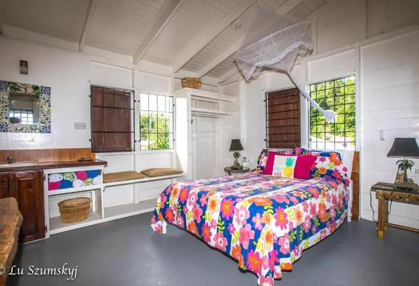 اتاق استاندارد با بالکن و چشم‌انداز دریا, Veranda View Guesthouse
