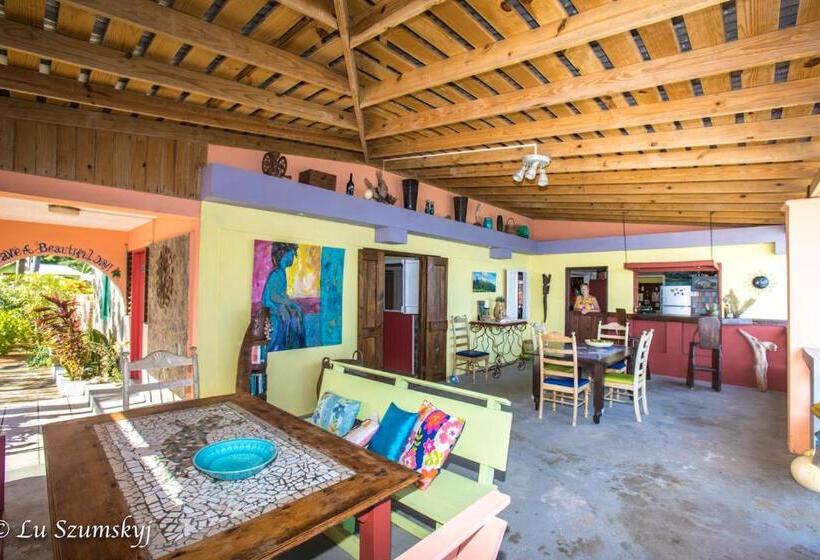 اتاق استاندارد با چشمانداز باغ, Veranda View Guesthouse